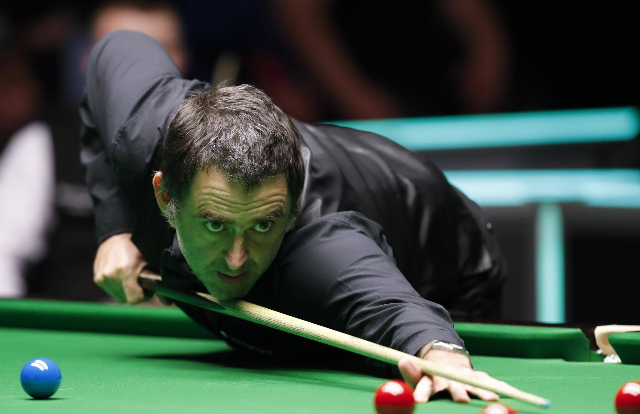 应链机会 应链机会